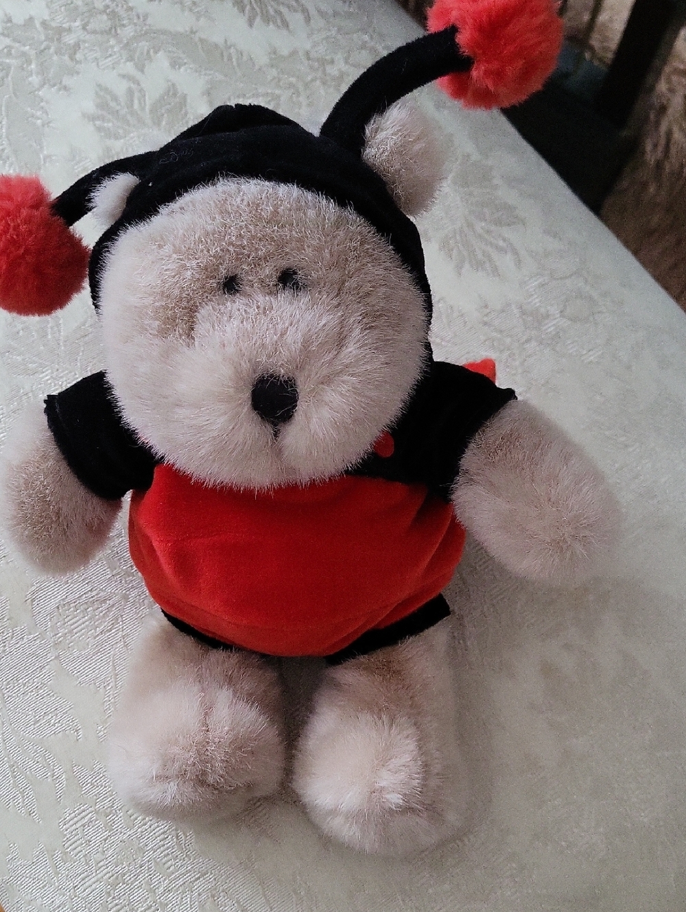 Vintage Starbucks Ladybug Bearista in Red and Black Ladybug